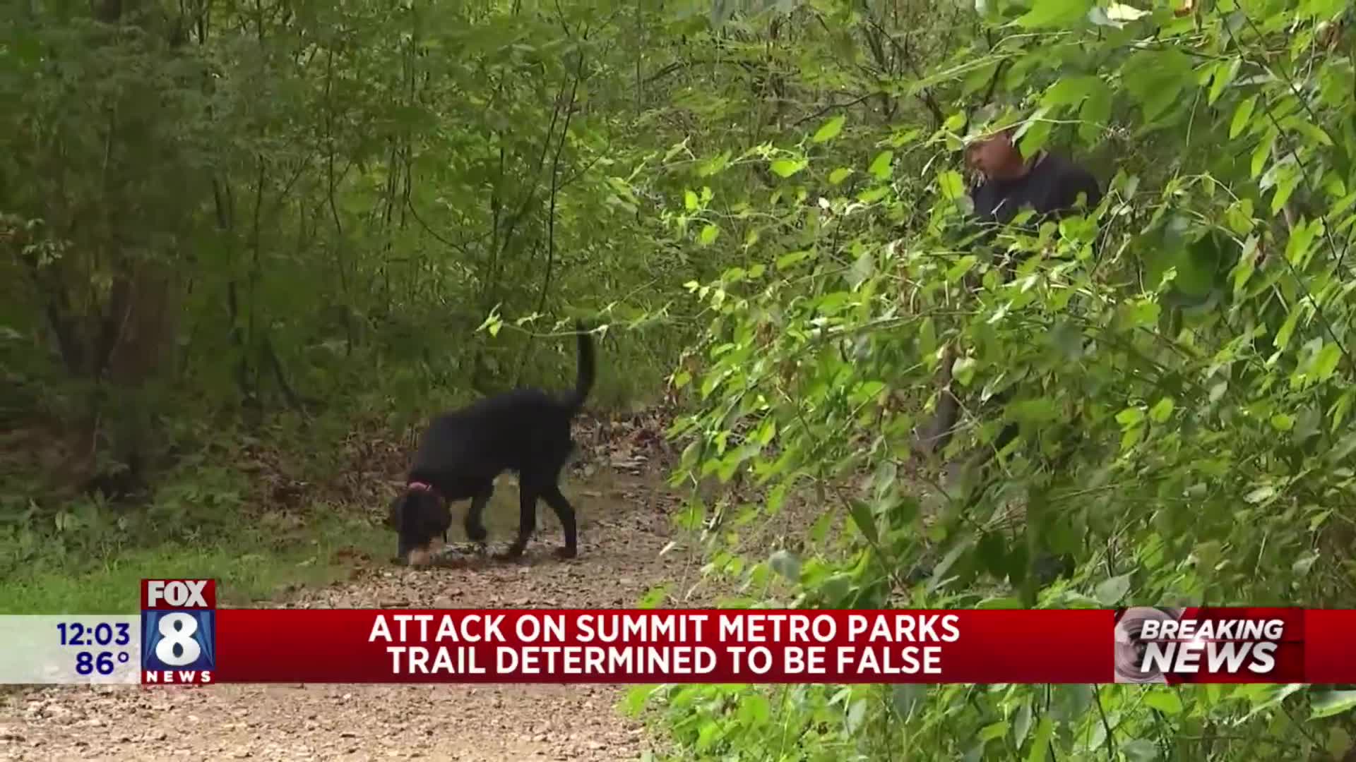 Summit Metro Parks attack ‘false claim’: Officials – Fox 8 Cleveland WJW
