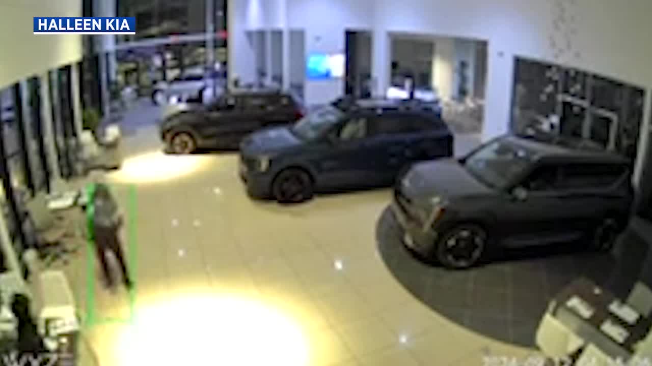 Suspects charged with breaking into Erie County car dealership ...